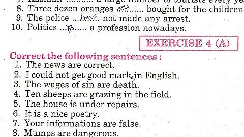 Syntax Exercise 4 A  Noun Error from excellent book class 12 solved by Ramesh Sir