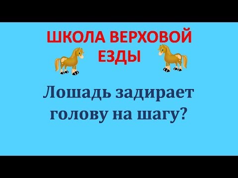 Вопрос: Как выполнять полуодержку лошади?