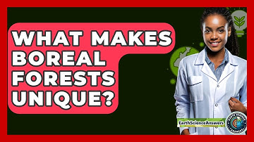 What Makes Boreal Forests Unique? - Earth Science Answers