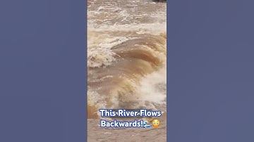 Rivers That Flow Backwards! 🌊🔄