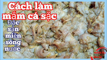 Vissaus maken | Specialiteit van de rivierenregio | Rustieke westelijke regio | # 198