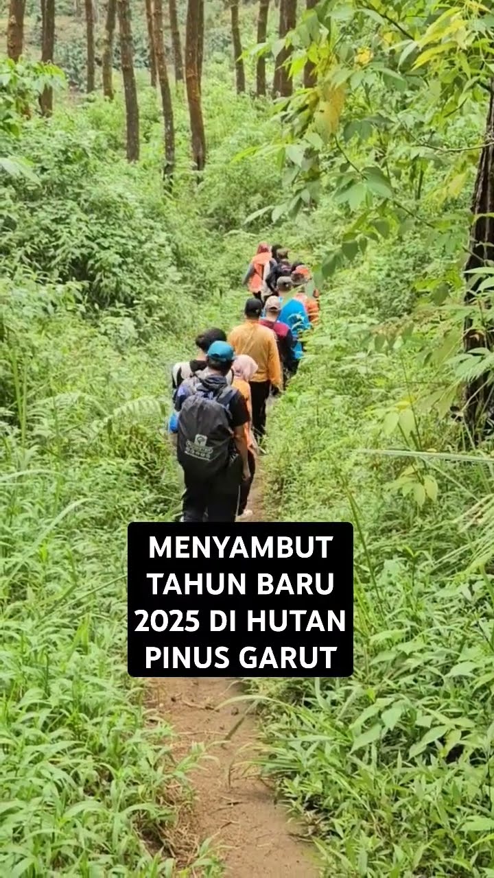 Jalan Kaki Ke Hutan Pinus Garut