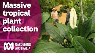Exploring A Massive Collection Of Rare Tropical Plants Discovery Gardening Australia