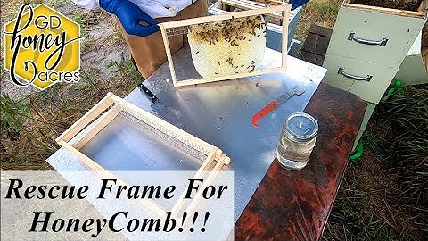 Hanging Cut Out Honeycomb with Rescue Frames