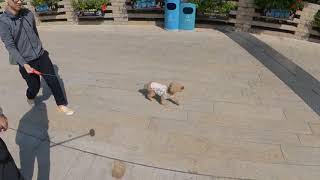 Insta360 One R Twin Auto Frame