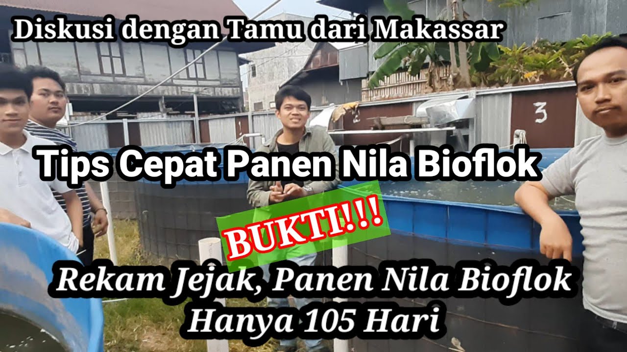 Diskusi Tentang Budidaya Nila Bioflok Bersama Millenial dari Makassar
