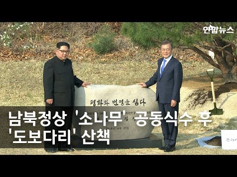 [현장영상] 남북정상 ‘소나무’ 공동식수 후 &#39;도보다리&#39; 산책