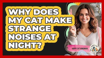 Why Does My Cat Make Strange Noises At Night?