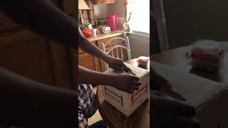 Unboxing Ball Python From Dynasty Reptiles
