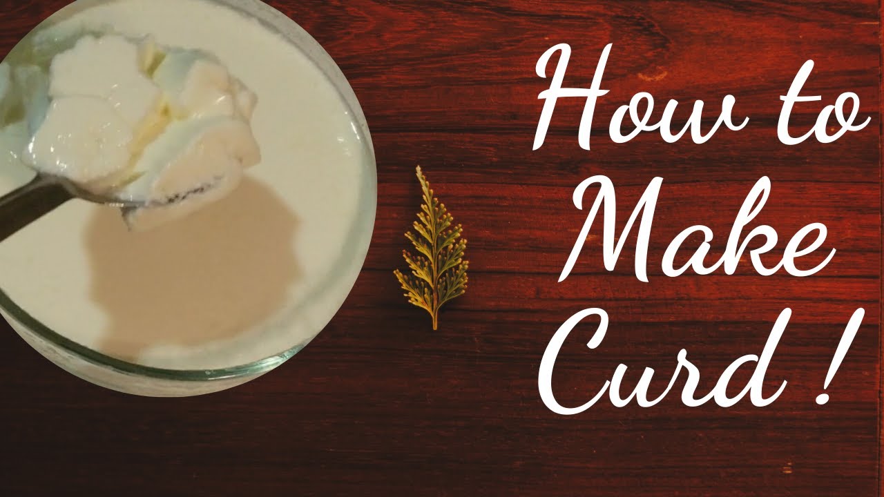 How to make Curd at home? - YouTube