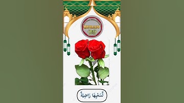 # سورة الغاشية#قران#