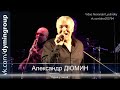 Александр ДЮМИН - "Одна у меня" #КОНЦЕРТНАЯВИДЕОСЪЁМКА#AlexanderLYUTINSKIY