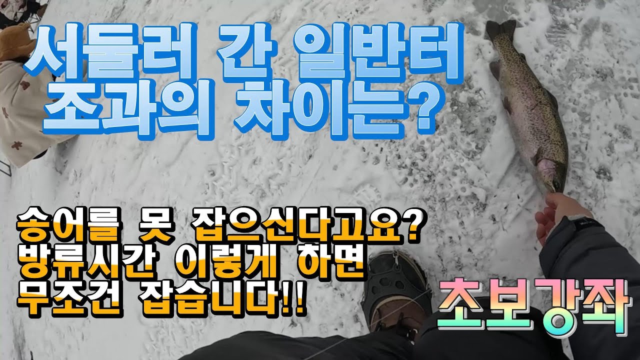 조금 서둘러간 평창송어축제장! 조과는 다릅니다...