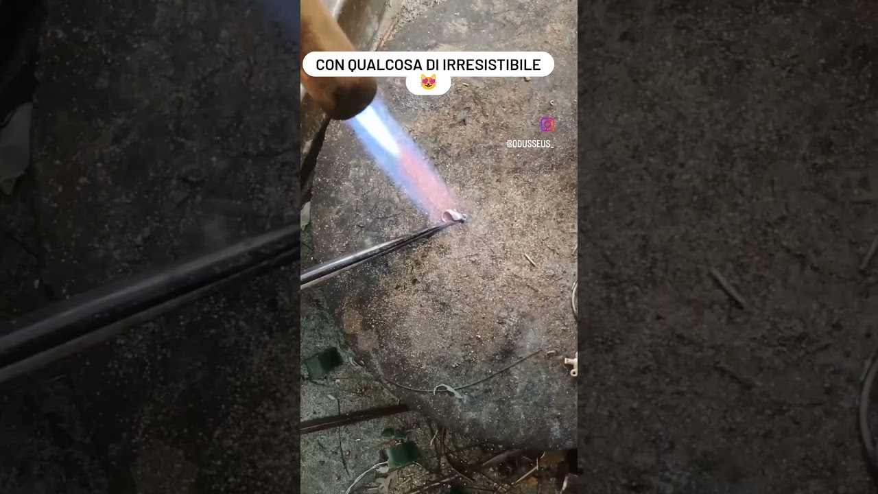 è un animale... quale? 