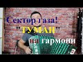 Сектор газа ТУМАН на гармони