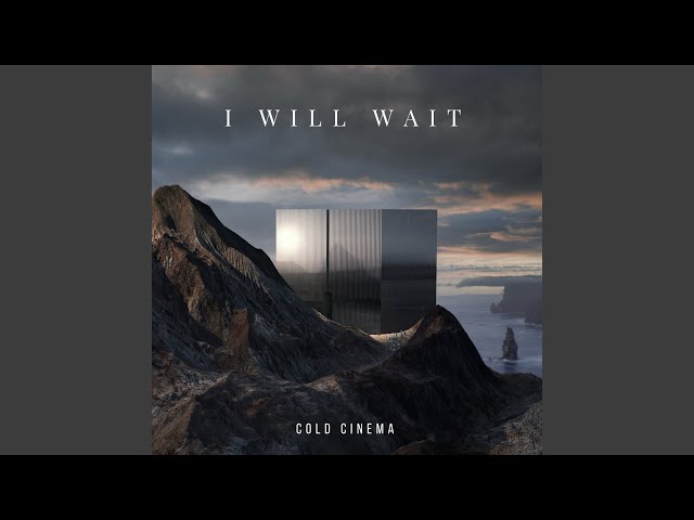 I Will Wait