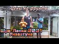 Цены на фрукты в Унаватуна/Шри-Ланка 2021