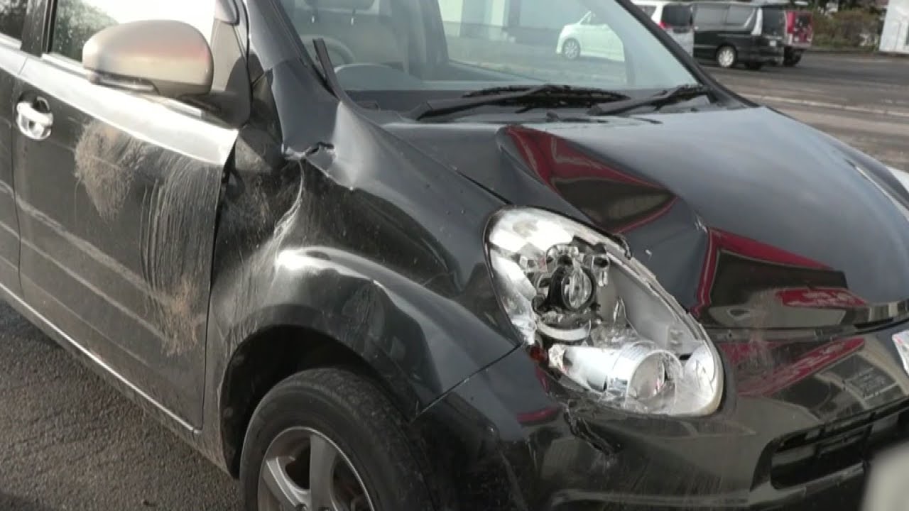 ヒグマが攻撃してきた！ 車めがけて