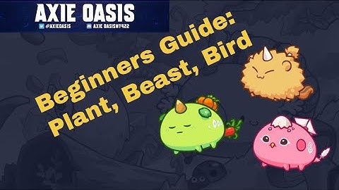 Plant, Beast, Bird Axie Infinity Team! (Top Beginners Build)