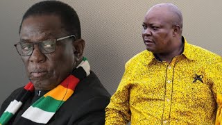 ''MNANGAGWA IS PANICKING''- SIKHALA, VOWS TO LEAD ZIMBABWEAN RESISTANCE AGAINST 2030