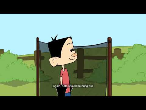 Mr. და Mrs. Reap-ის რჩევები - ერთად ვებრძოლოთ აზიურ ფაროსანას