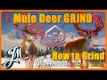 🔴HOW TO MULE DEER GRIND ! Getting G1#13 🔴- NEW ALERTS - 1JMGames