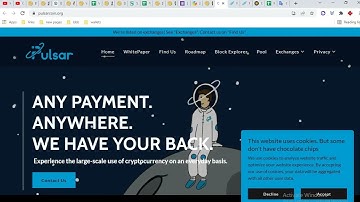 PULSAR COIN PROJECT REVIEW