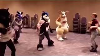 stan twitter: furries learning choreo