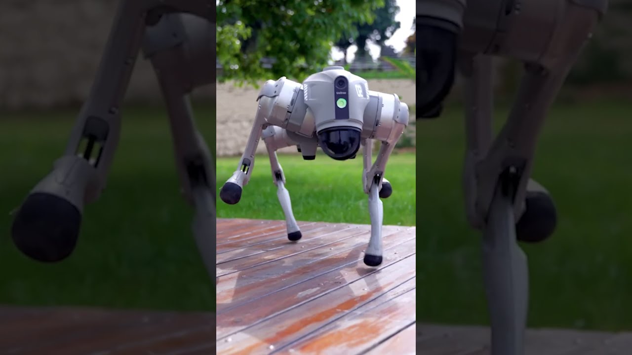 Unitree Go2 | 四足ロボット 身体化 AI