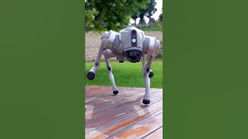 進化した犬ロボット "Unitree Go2"