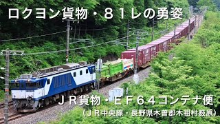 ＪＲ貨物・ＥＦ６４ロクヨン・８１レコンテナ便の勇姿（ＪＲ中央線・長野県木曽郡木祖村薮原）