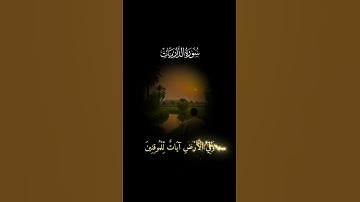 بتلاوة تبكي القلوب قراءة مؤثرة تأسر النفوس الشيخ عبد الباسط عبد الصمد #تلاوة_خاشعة #تلاوة_مؤثرة