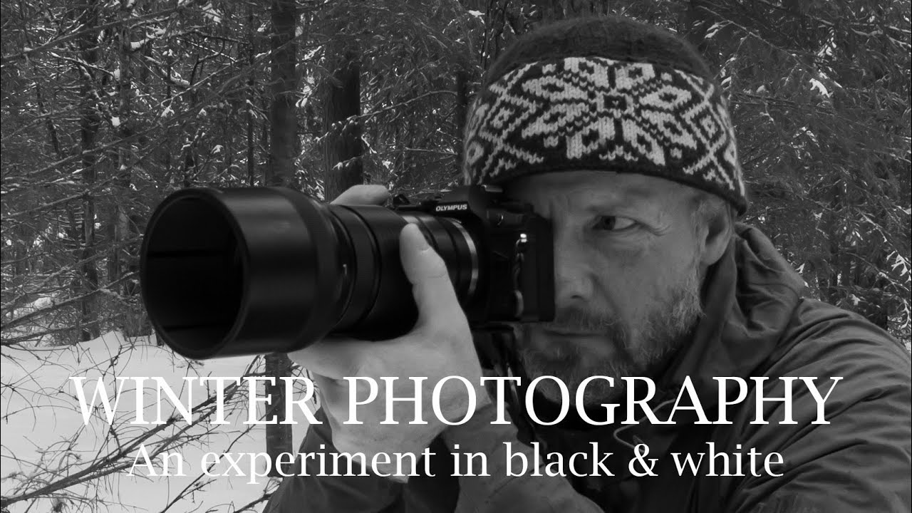 WINTER PHOTOGRAPHY IN BLACK & WHITE | A lovely day in the winter forest