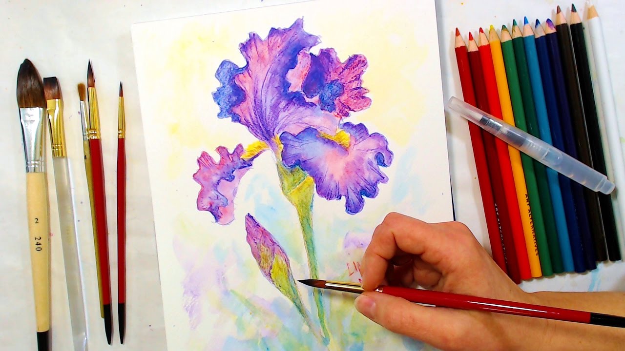 watercolour pencil art tutorials how to use Young Delacueva