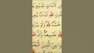 سورة البقرة الأية 165 إلى 166 القارئ مشاري راشد العفاسي
