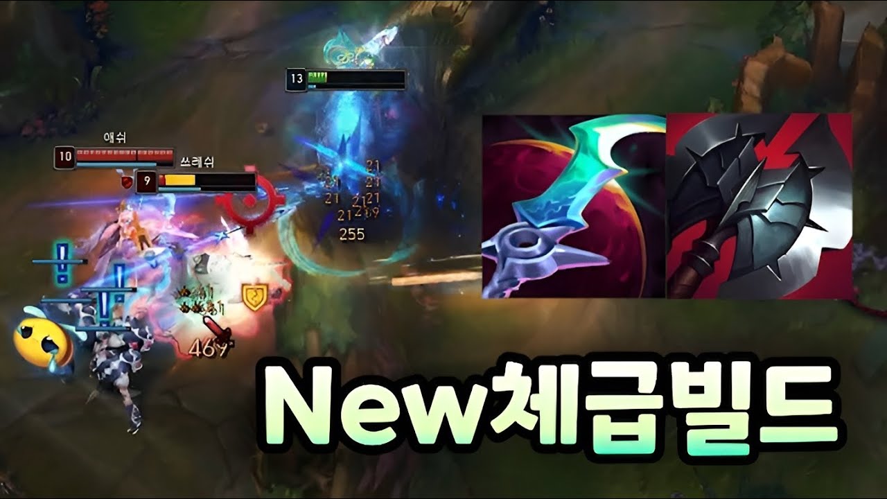 단단한데 딜까지 잘나오는 요릭의 새로운 템트리