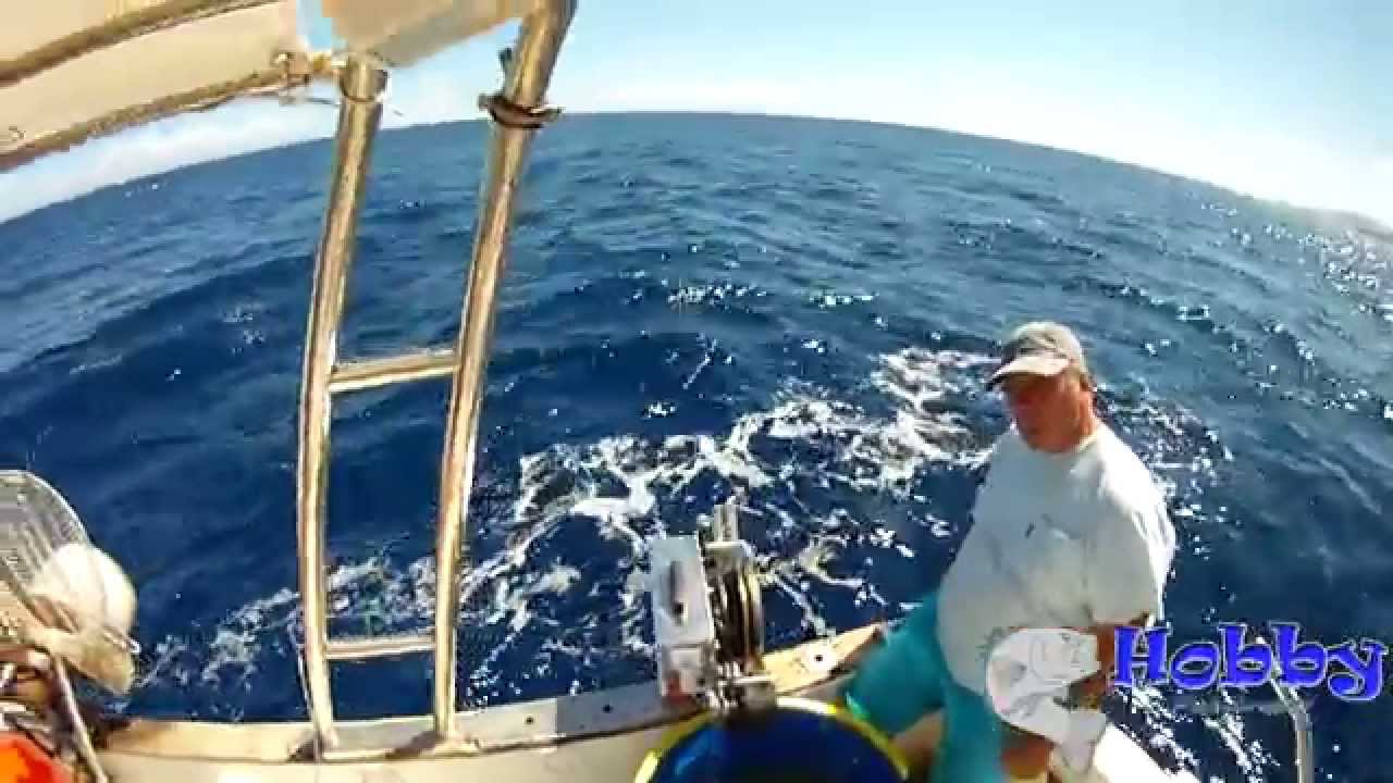 ΠΑΡΑΓΑΔΙ ΧΟΝΤΡΟ ΣΤΑ 160 ΜΕΤΡΑ (ΠΑΤΕΣΤΗΣ)HOBBYFISHING