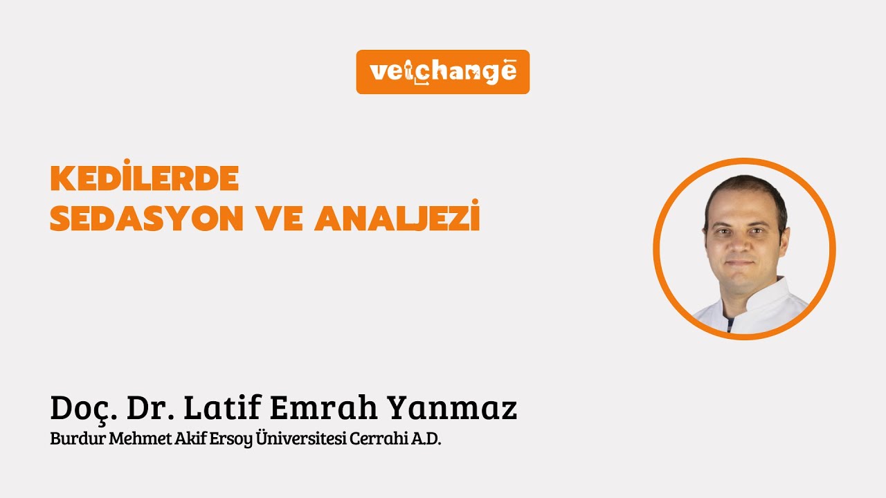 Kedilerde Sedasyon ve Analjezi ''Doç. Dr. Latif Emrah Yanmaz''