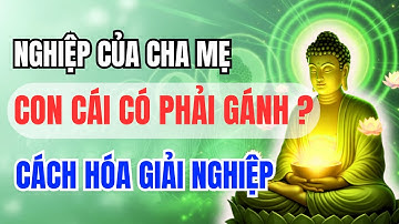 Cách Hóa Giải Nghiệp Của Cha Mẹ Để Con Cái Không Phải Gánh Vác | LỜI PHẬT DẠY