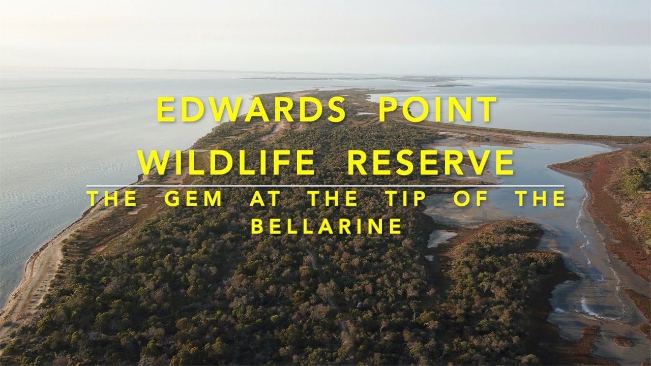 Edwards Point Wildlife Reserve YouTube Edwards Point Wildlife Reserve YouTube