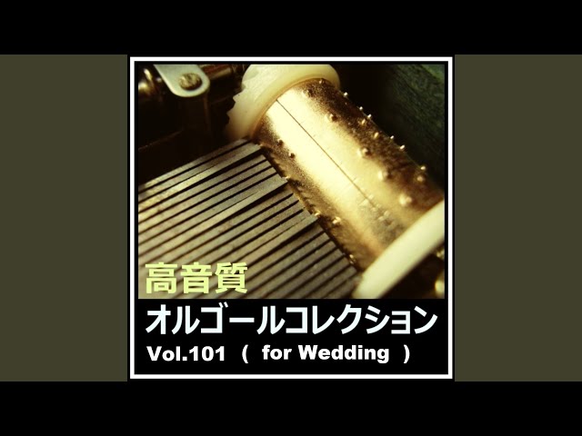 主よ人の望みの喜びよNEW!J.S.Bach