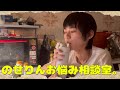 みんなのお悩み答えてみたよ。
