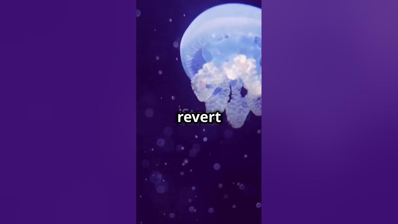 the-weirdest-scientific-discoveries-ever-made-goviral-facts-podcast