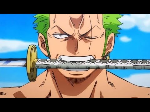 Zoro's First Encounter