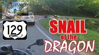 Snail Of The Dragon