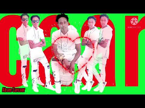 WawwDhibaa  Afuriif Sodomaa Hiin Olltuu Wal Arkaan