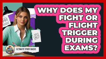 Why Does My Fight Or Flight Trigger During Exams? - Ultimate Study Hacks