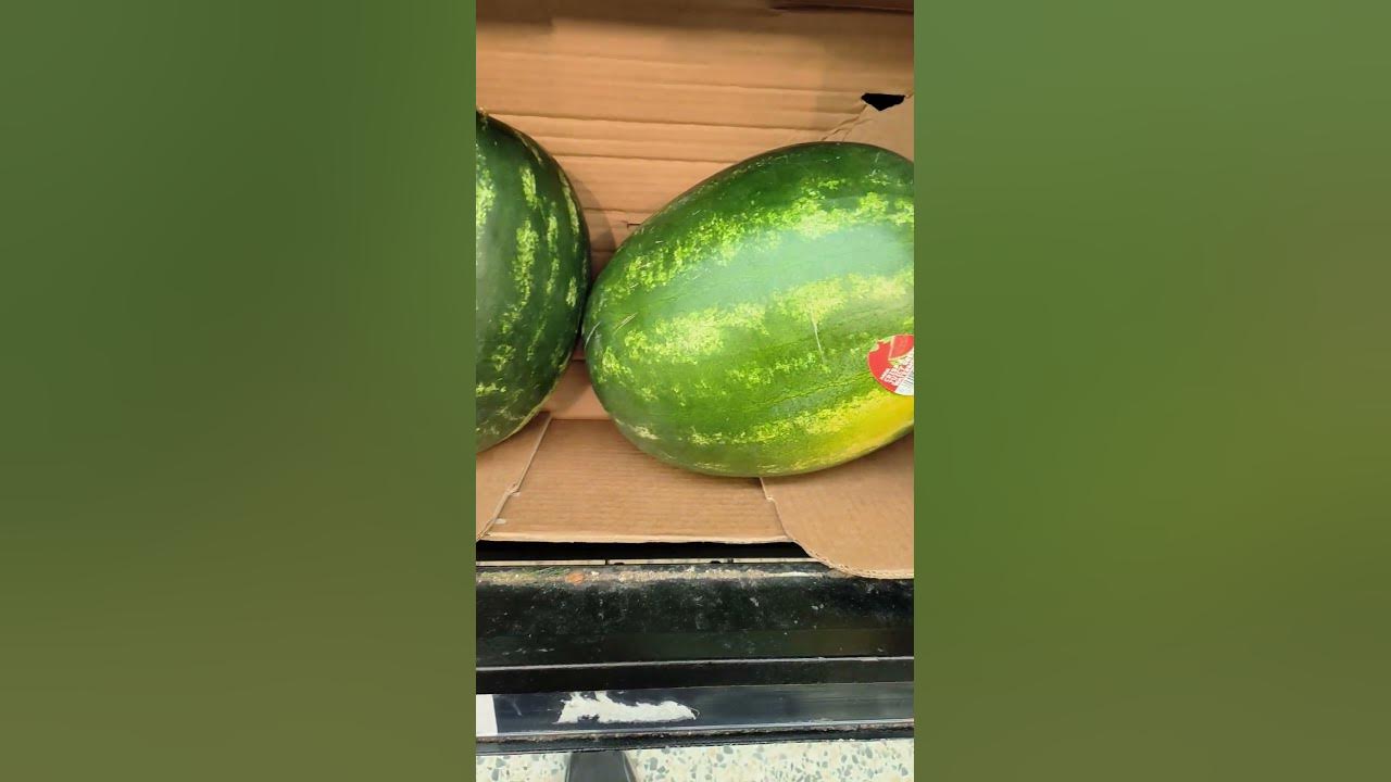 how much does a watermelon costs in UK now? costofliving uk shorts