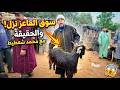 أسواق الماعز في 2026 هل انخفضت الأسعار فعلا مع محمد شعطيط