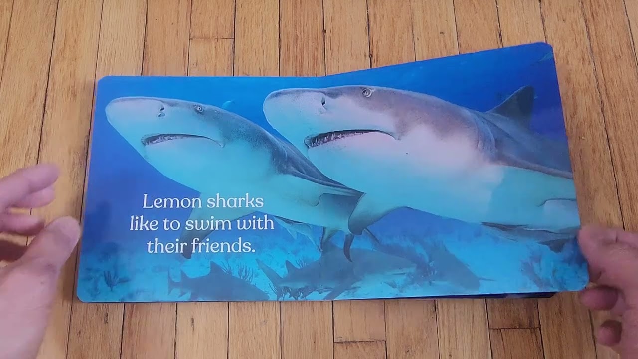 Большие акулы, маленький мир — Марк Лейрен-Янг